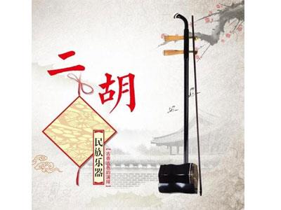 招聘银川二胡家教老师